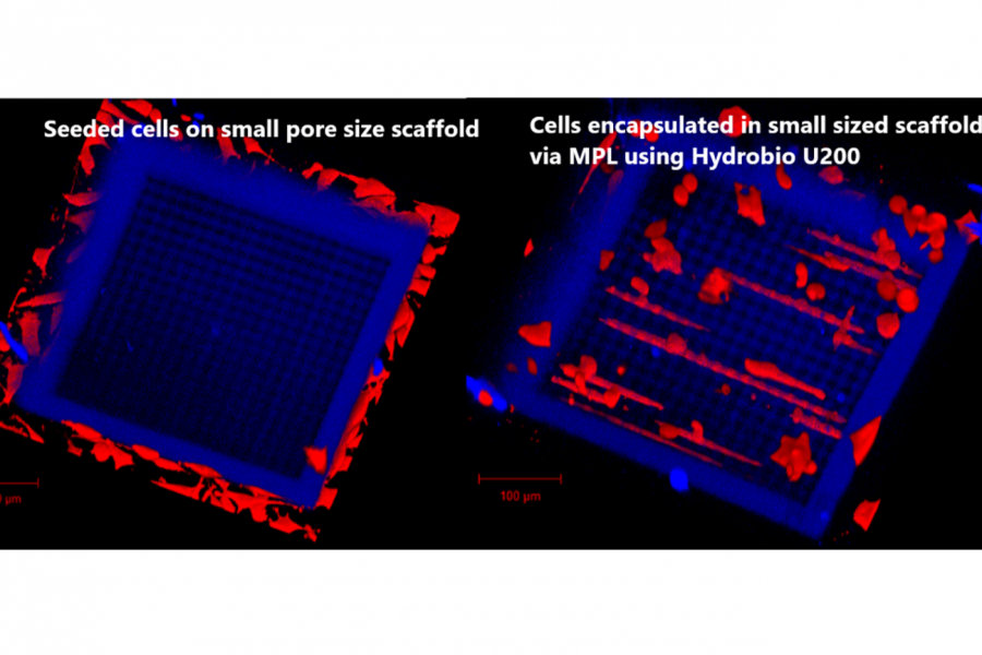 Cells encapsulated in small sized scaffold via MPL using Hydrobio U200