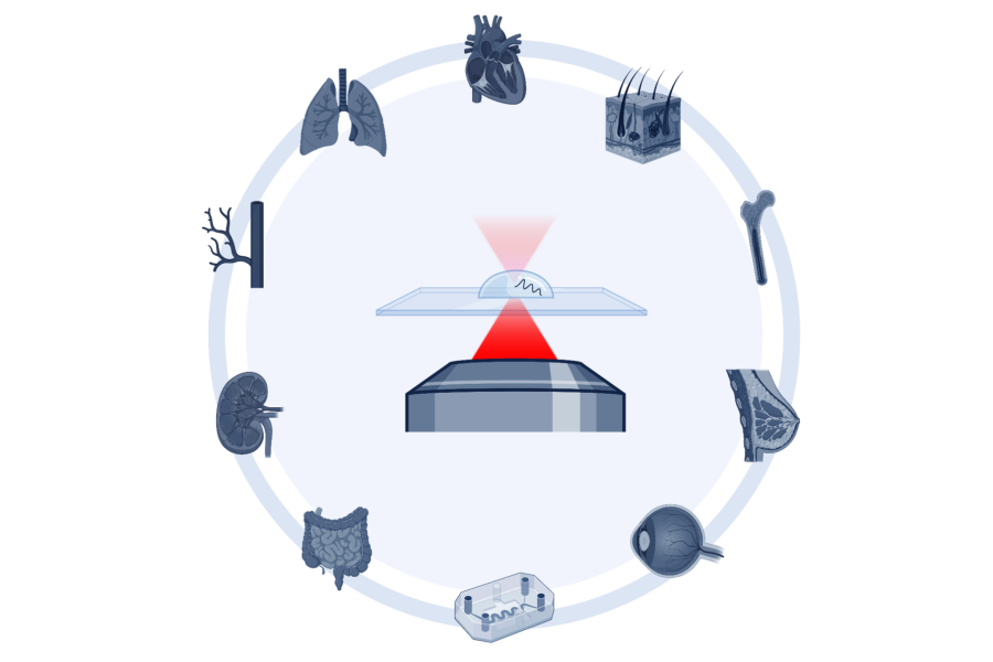 Different biomedical applications of multiphoton lithography