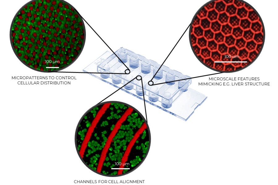 Different microstructures printed directly inside a microfluidic chip for drug discovery applications.