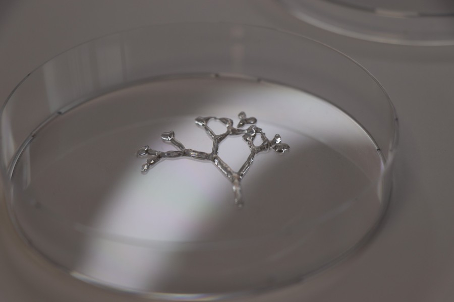 Microvascular structure printed in a Human placenta substrate® derived bio ink.