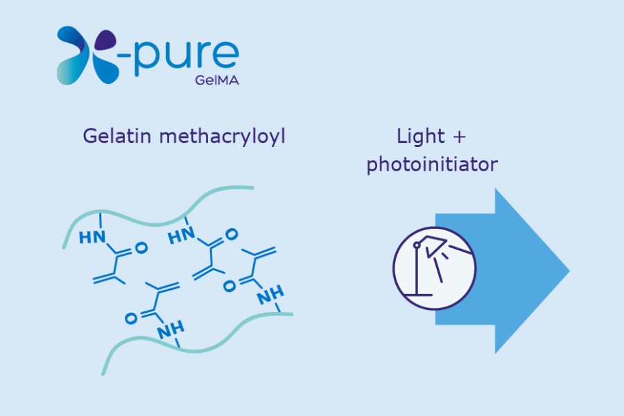 The Chemistry of Gel-ma as developed at Ghent University 25 years ago.