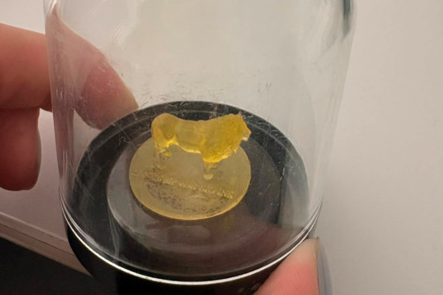 A 3D printed Flemish lion using DEGRES INX; The shape memory DLP resin of BIO INX.